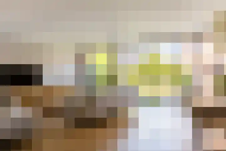 Het Wapenschild 31 Bergambacht thumbnail 10