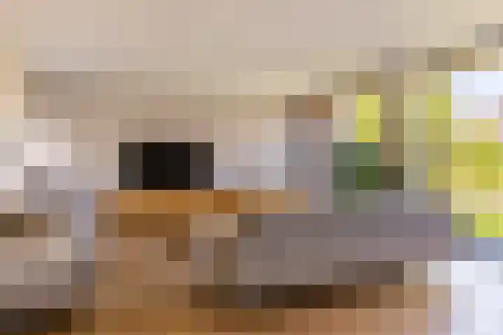 Het Wapenschild 31 Bergambacht thumbnail 11