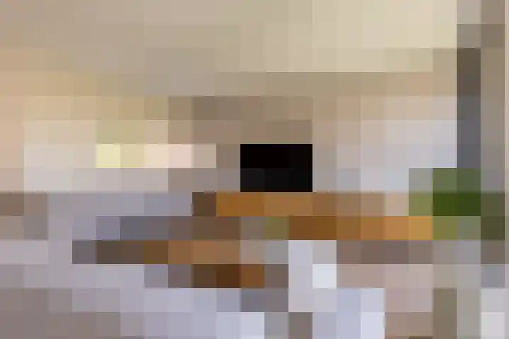 Het Wapenschild 31 Bergambacht thumbnail 12