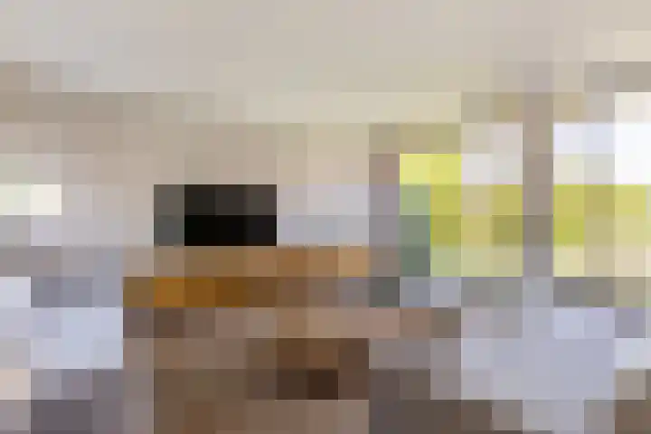Het Wapenschild 31 Bergambacht thumbnail 13