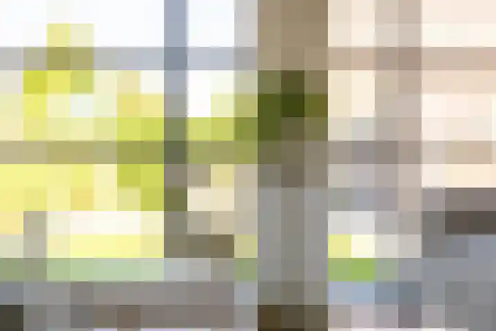 Het Wapenschild 31 Bergambacht thumbnail 16