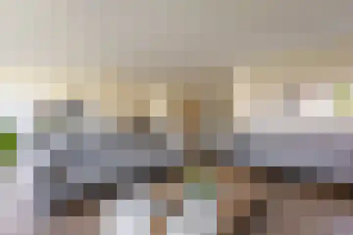 Het Wapenschild 31 Bergambacht thumbnail 17