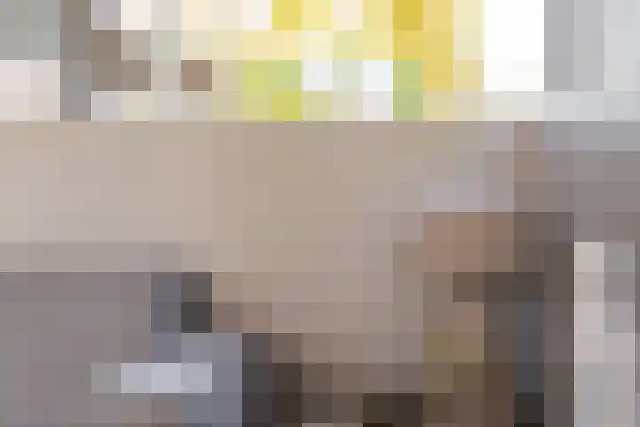 Het Wapenschild 31 Bergambacht thumbnail 19