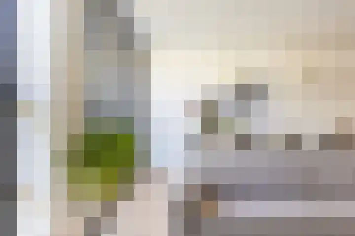 Het Wapenschild 31 Bergambacht thumbnail 20