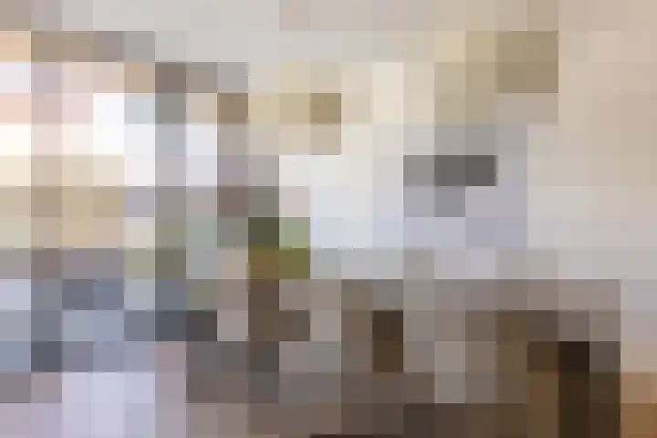 Het Wapenschild 31 Bergambacht thumbnail 21