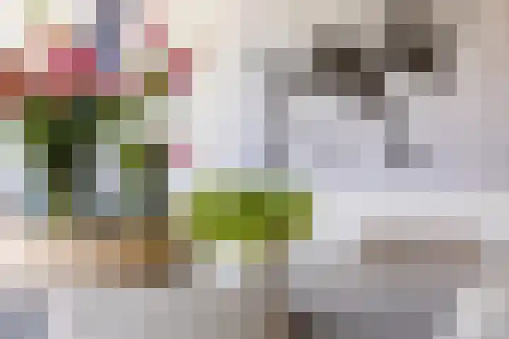 Het Wapenschild 31 Bergambacht thumbnail 22