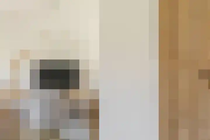 Het Wapenschild 31 Bergambacht thumbnail 25