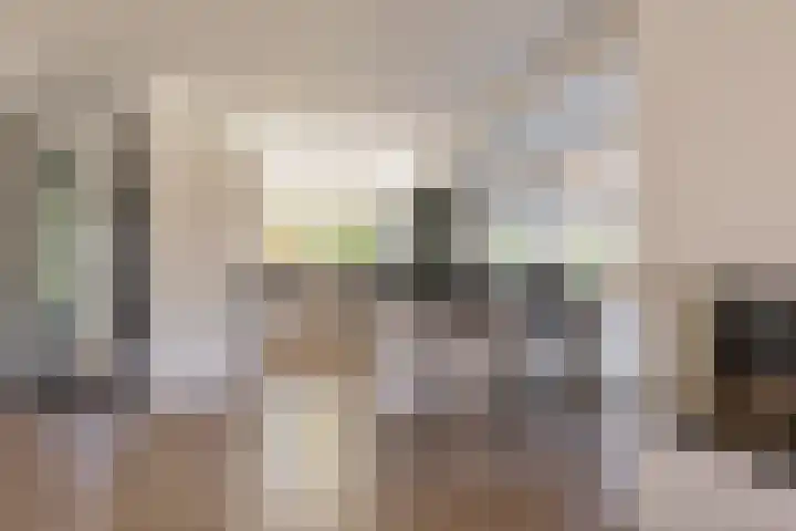 Het Wapenschild 31 Bergambacht thumbnail 26