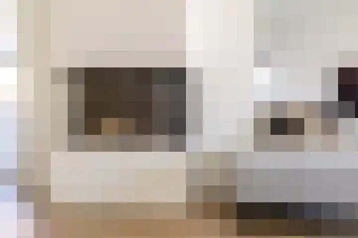 Het Wapenschild 31 Bergambacht thumbnail 27