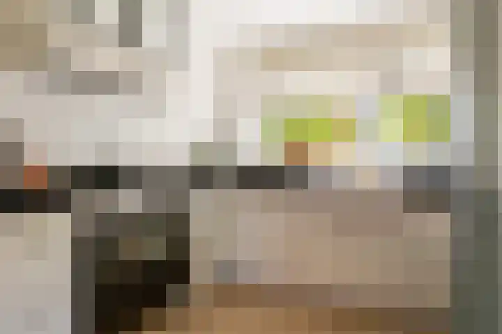 Het Wapenschild 31 Bergambacht thumbnail 30