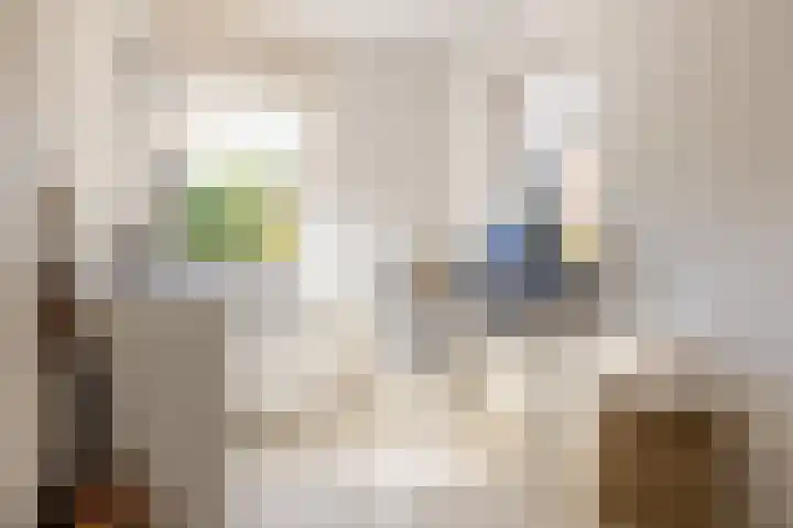 Het Wapenschild 31 Bergambacht thumbnail 35