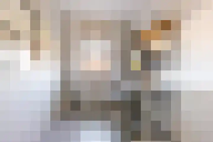 Het Wapenschild 31 Bergambacht thumbnail 39
