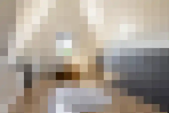 Het Wapenschild 31 Bergambacht thumbnail 41
