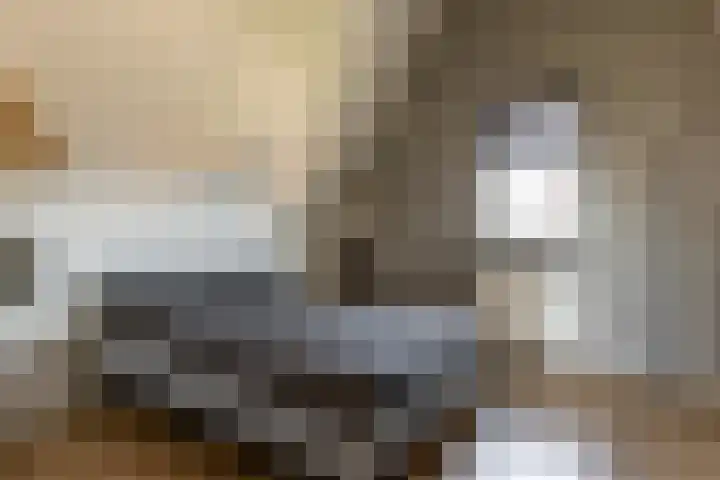 Het Wapenschild 31 Bergambacht thumbnail 43