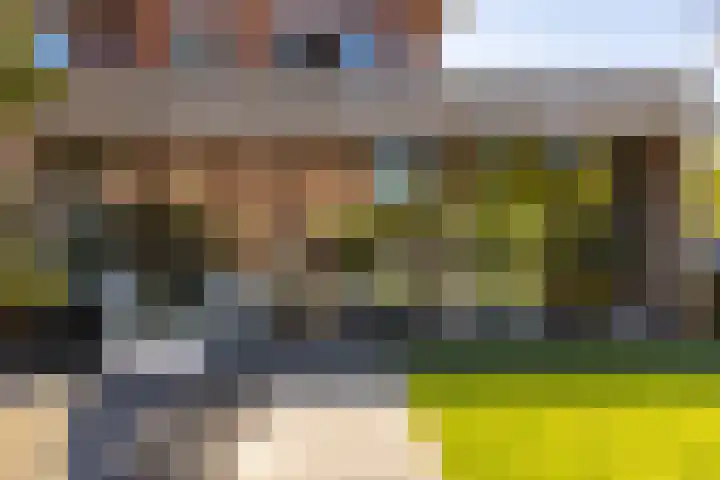 Het Wapenschild 31 Bergambacht thumbnail 46