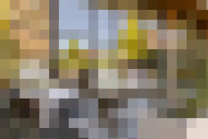 Het Wapenschild 31 Bergambacht thumbnail 47