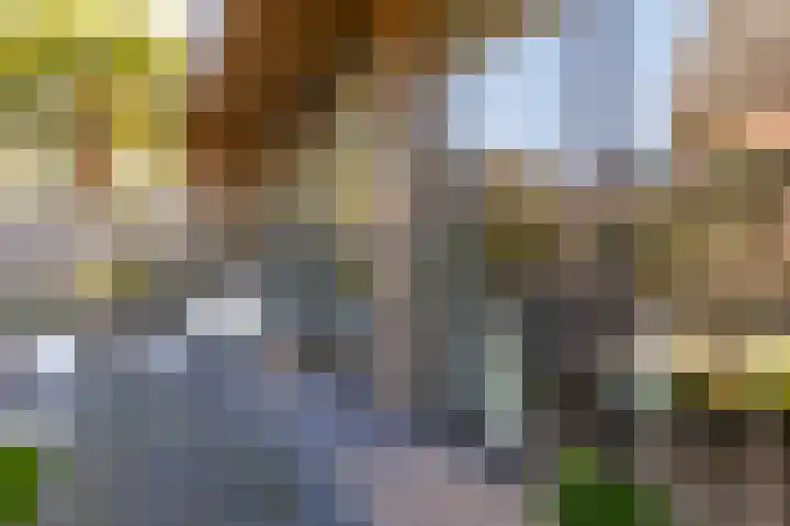Het Wapenschild 31 Bergambacht thumbnail 48