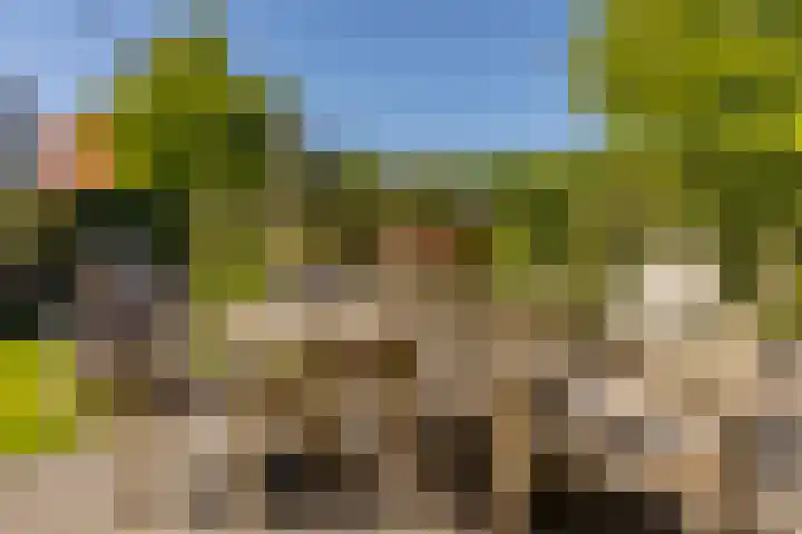 Het Wapenschild 31 Bergambacht thumbnail 52
