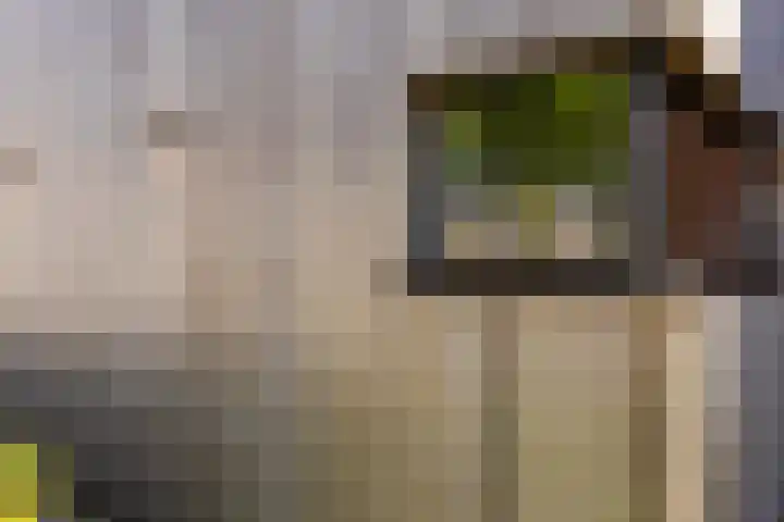 Het Wapenschild 31 Bergambacht thumbnail 55