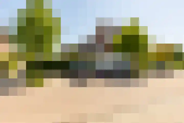 Het Wapenschild 31 Bergambacht thumbnail 56