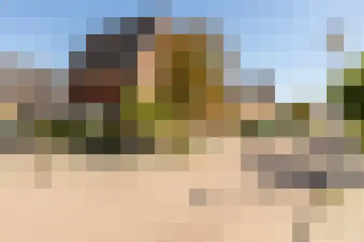 Het Wapenschild 31 Bergambacht thumbnail 57