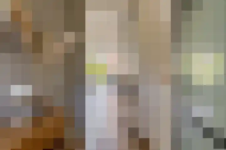 Het Wapenschild 31 Bergambacht thumbnail 8