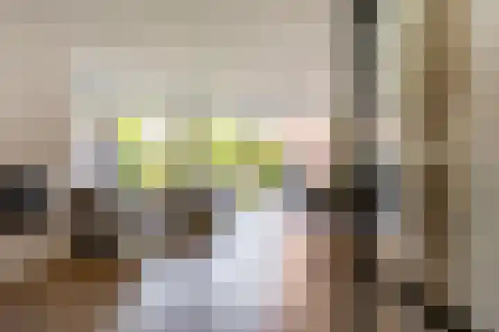 Het Wapenschild 31 Bergambacht thumbnail 9