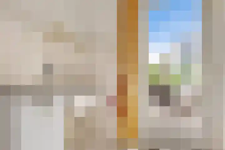 Het Wapenschild 34 Swifterbant thumbnail 14