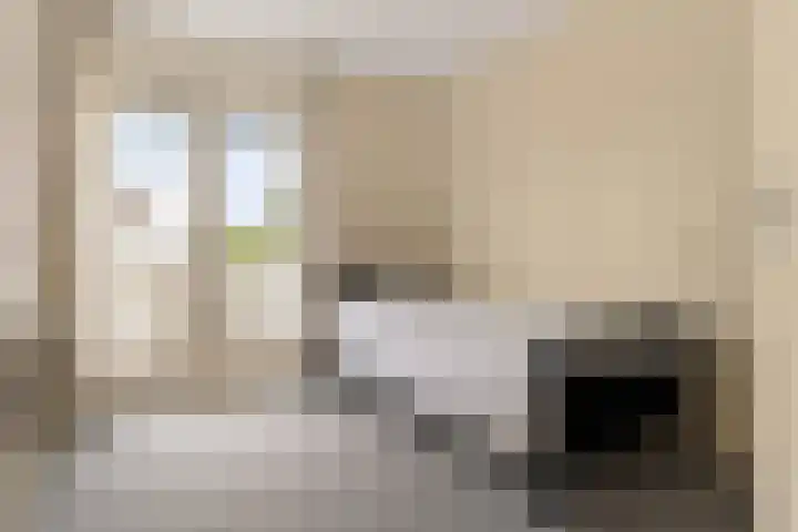 Het Wapenschild 34 Swifterbant thumbnail 18