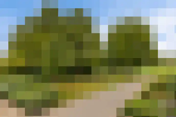 Het Wapenschild 34 Swifterbant thumbnail 19