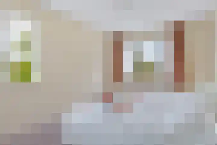 Het Wapenschild 34 Swifterbant thumbnail 20