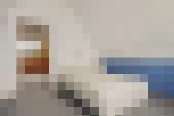 Het Wapenschild 34 Swifterbant thumbnail 26