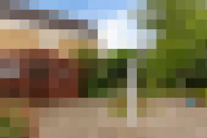 Het Wapenschild 34 Swifterbant thumbnail 27