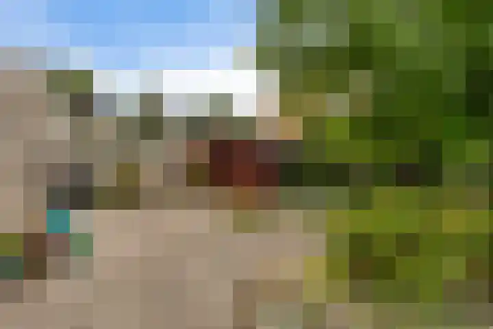 Het Wapenschild 34 Swifterbant thumbnail 28