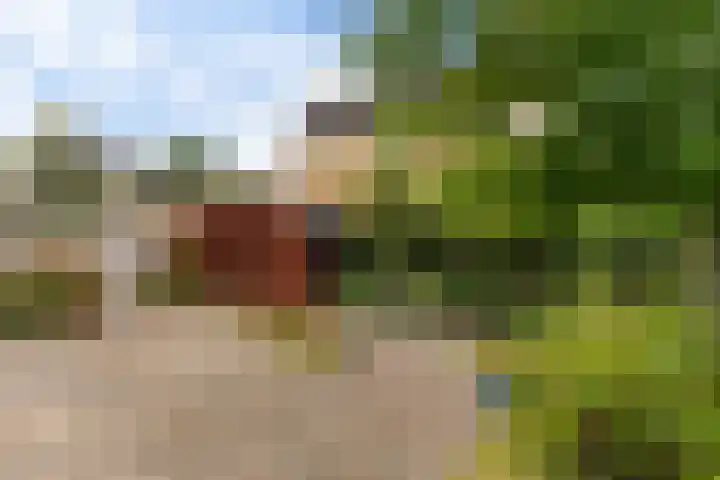 Het Wapenschild 34 Swifterbant thumbnail 29