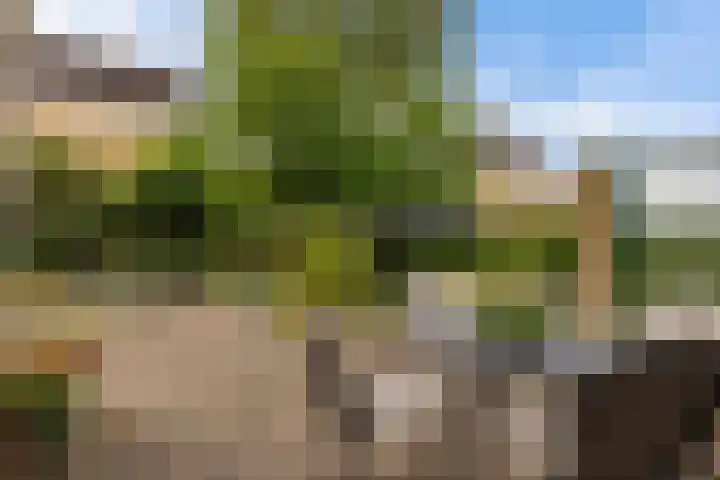 Het Wapenschild 34 Swifterbant thumbnail 30