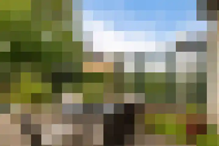 Het Wapenschild 34 Swifterbant thumbnail 31
