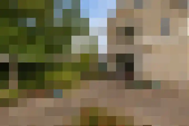Het Wapenschild 34 Swifterbant thumbnail 32