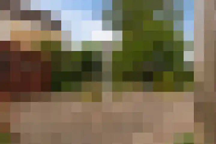 Het Wapenschild 34 Swifterbant thumbnail 33