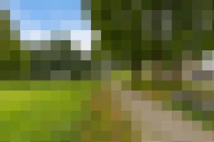 Het Wapenschild 34 Swifterbant thumbnail 35
