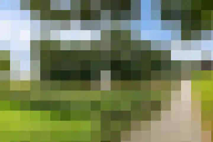 Het Wapenschild 34 Swifterbant thumbnail 36