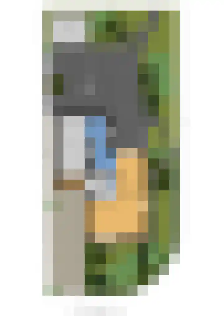 Het Wapenschild 34 Swifterbant thumbnail 38