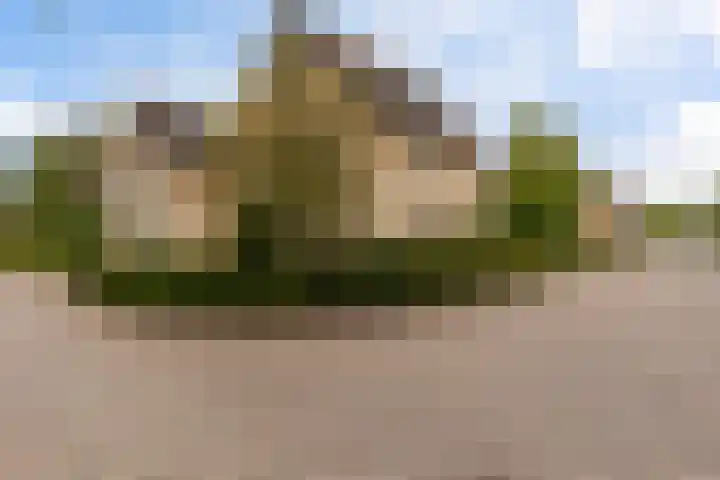 Het Wapenschild 34 Swifterbant thumbnail 5