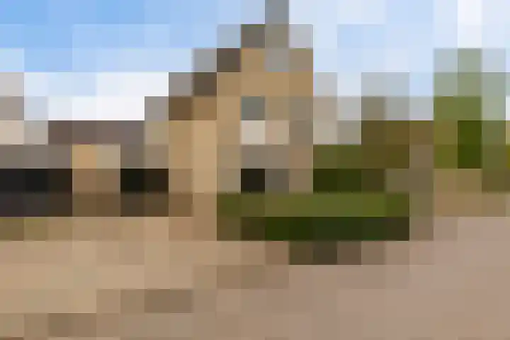 Het Wapenschild 34 Swifterbant thumbnail 6