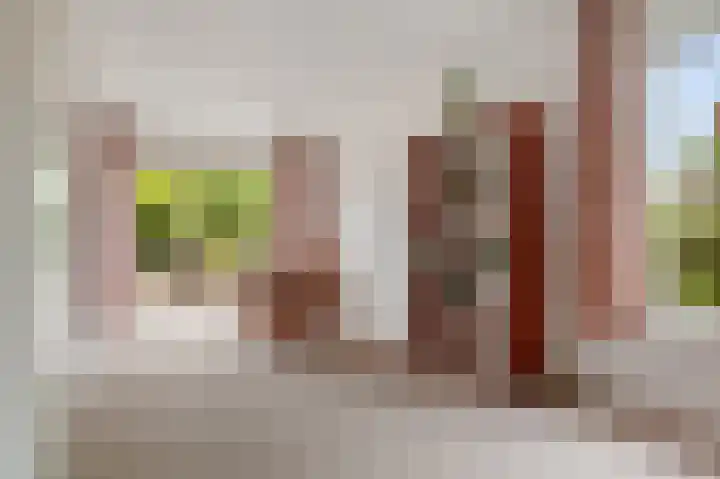 Het Wapenschild 34 Swifterbant thumbnail 9