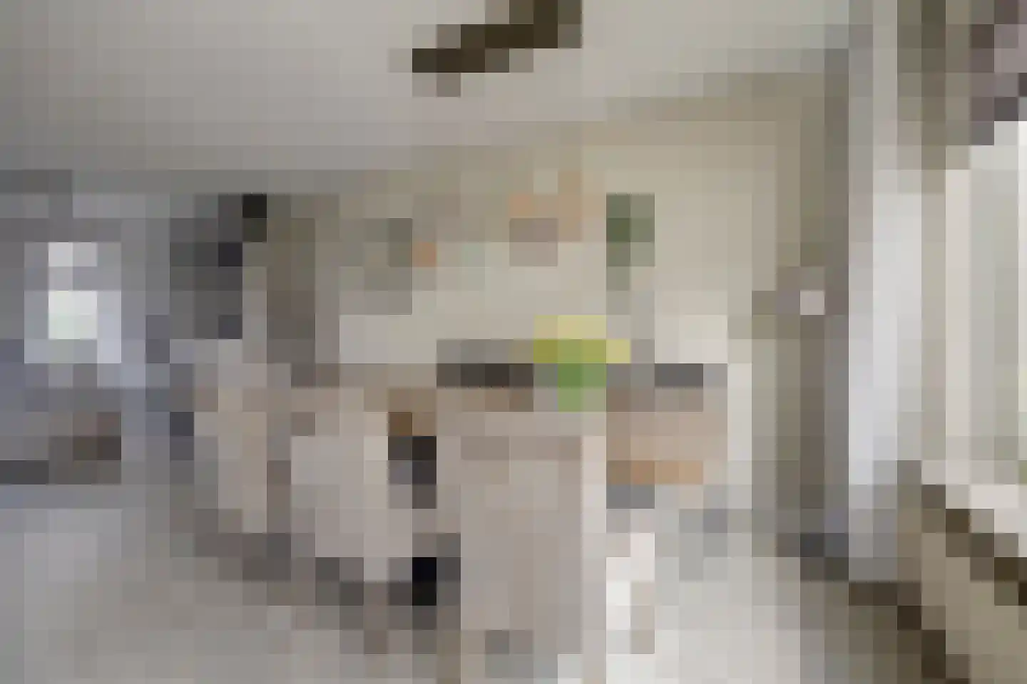Het Wapenschild 36 Swifterbant thumbnail 14