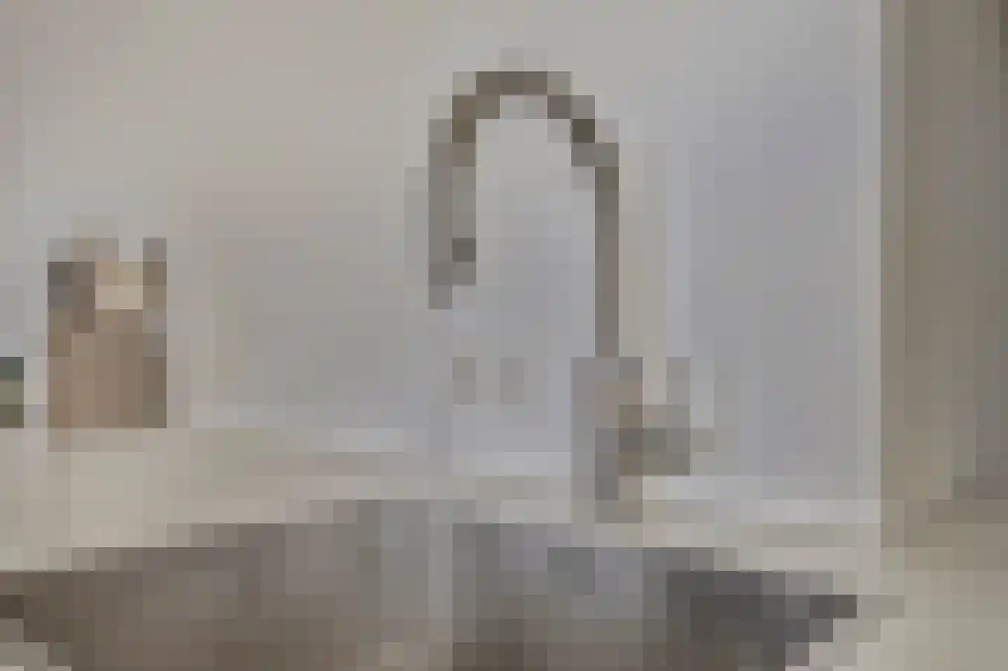 Het Wapenschild 36 Swifterbant thumbnail 18