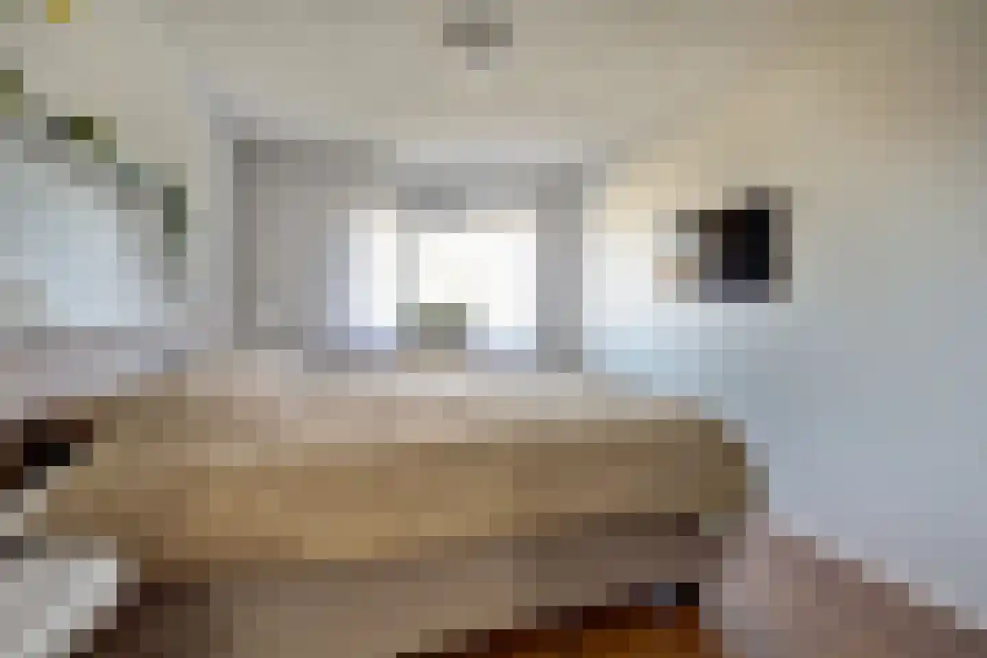 Het Wapenschild 36 Swifterbant thumbnail 25