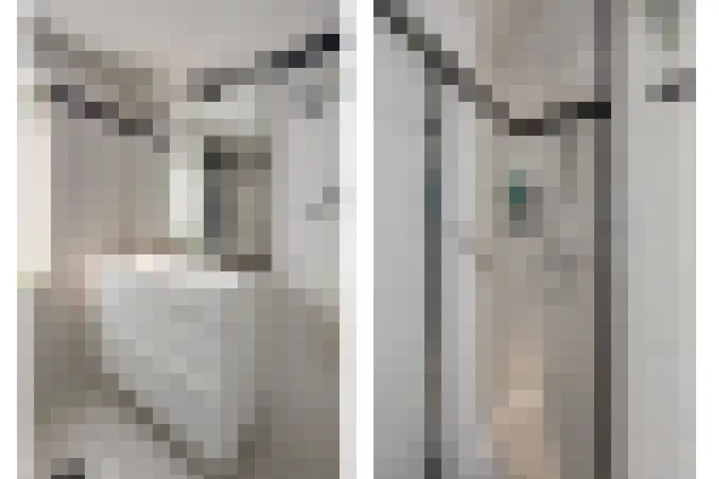 Het Wapenschild 36 Swifterbant thumbnail 32