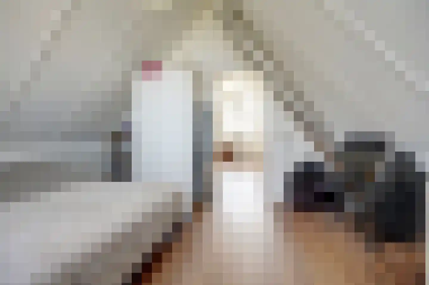 Het Wapenschild 36 Swifterbant thumbnail 37